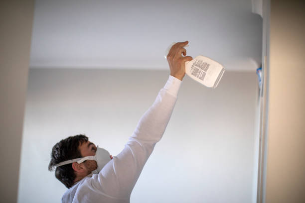 Professional Mold Remediation in Boyne City, MI